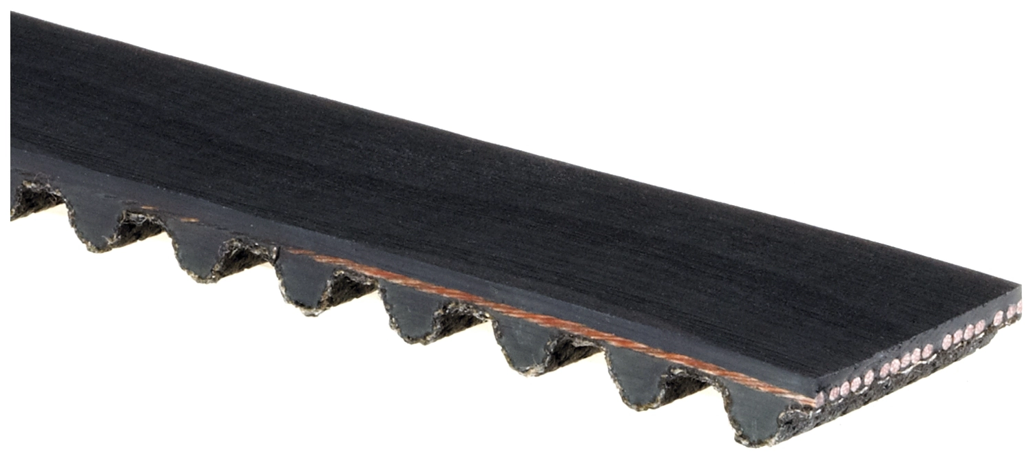Timing Belt