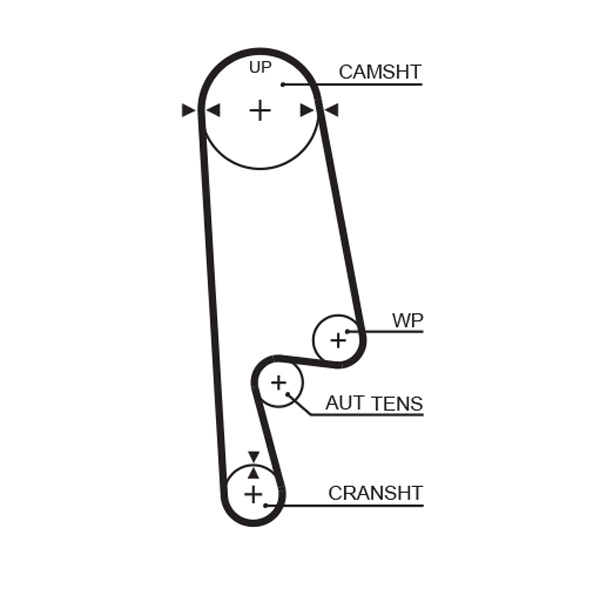 Timing Belt (T187)