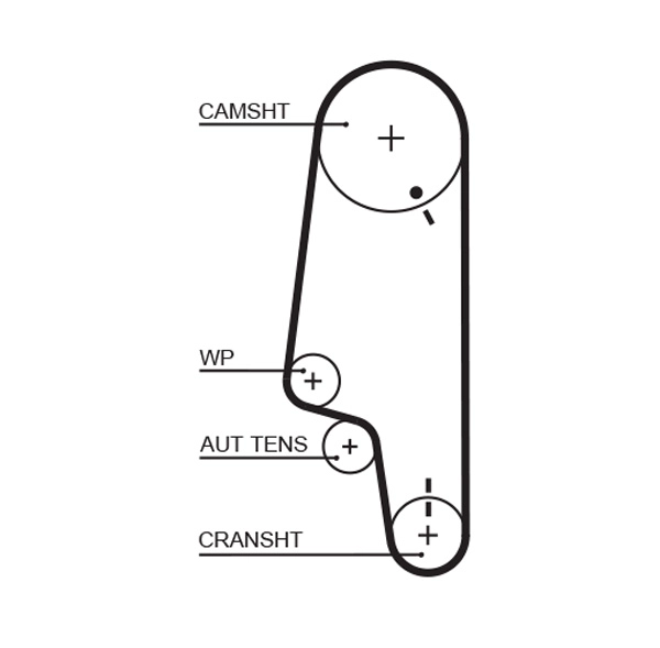 Timing Belt (T1548)