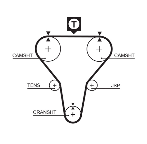 Timing Belt (T179)
