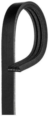 V-Ribbed Belt (K030334RPM)