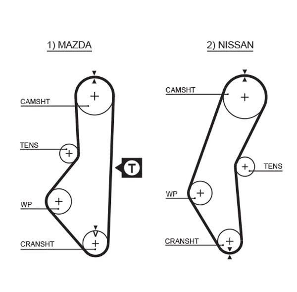 Timing Belt (T077)