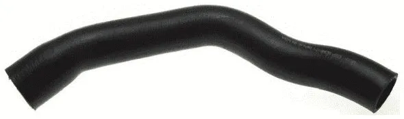 Radiator Hose (22234)