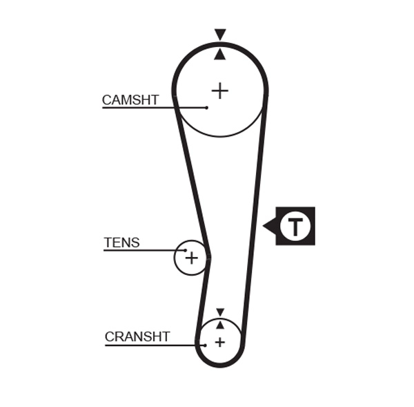 Timing Belt (T095)