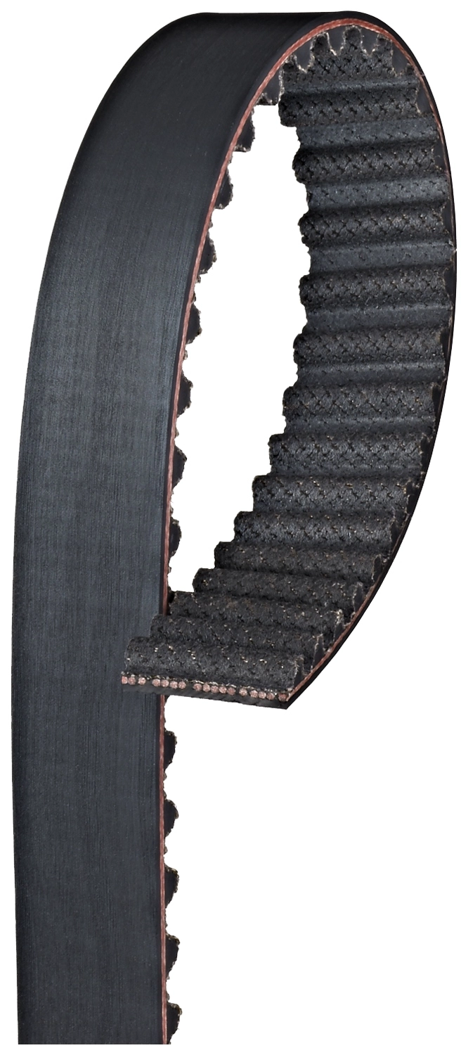 Timing Belt