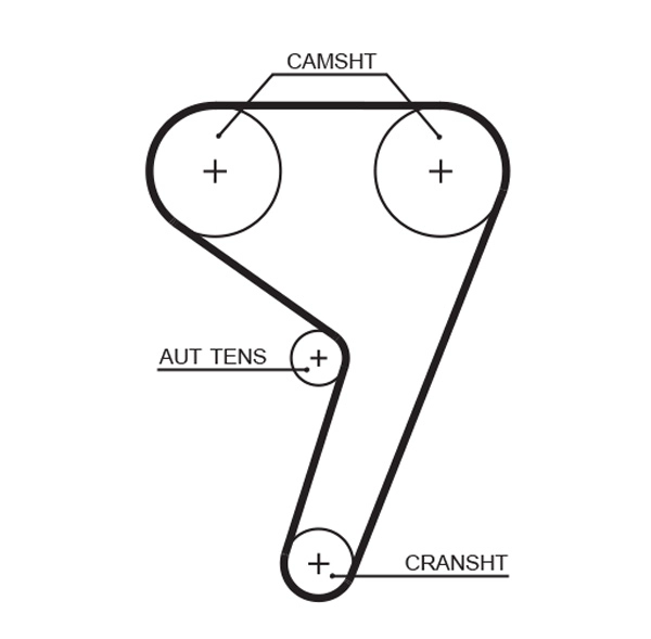 Timing Belt (T1086)