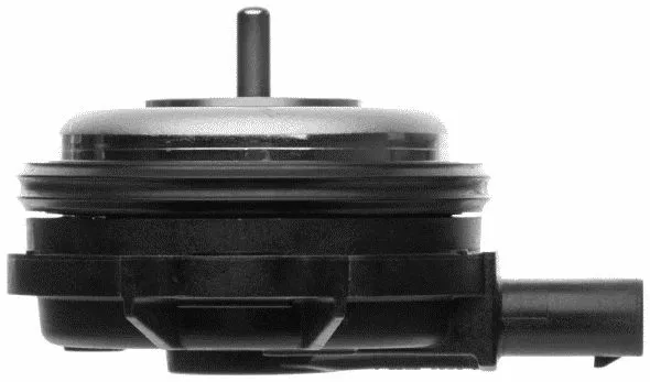 Central Magnet, camshaft adjustment