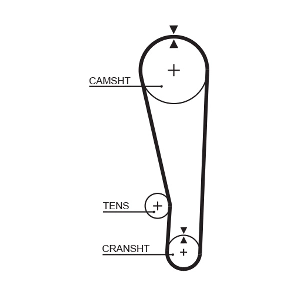 Timing Belt (T164)