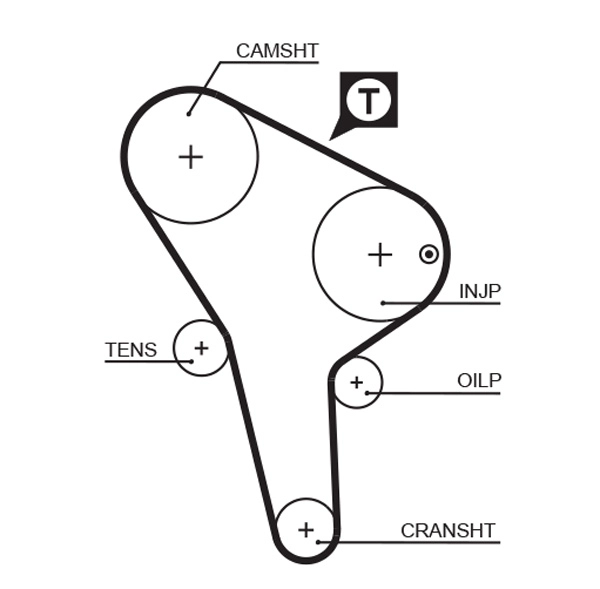 Timing Belt (T043)