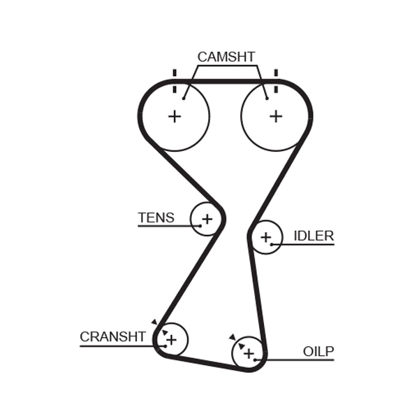 Timing Belt (T256)