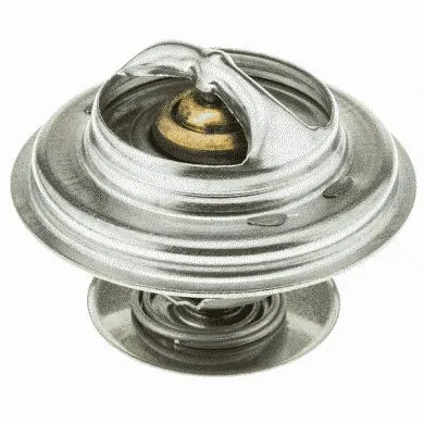 Thermostat, coolant (33079)