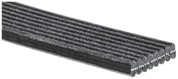 V-Ribbed Belt