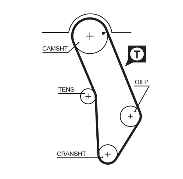 Timing Belt