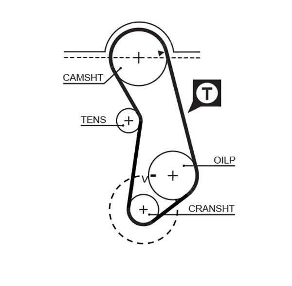 Timing Belt (T017)