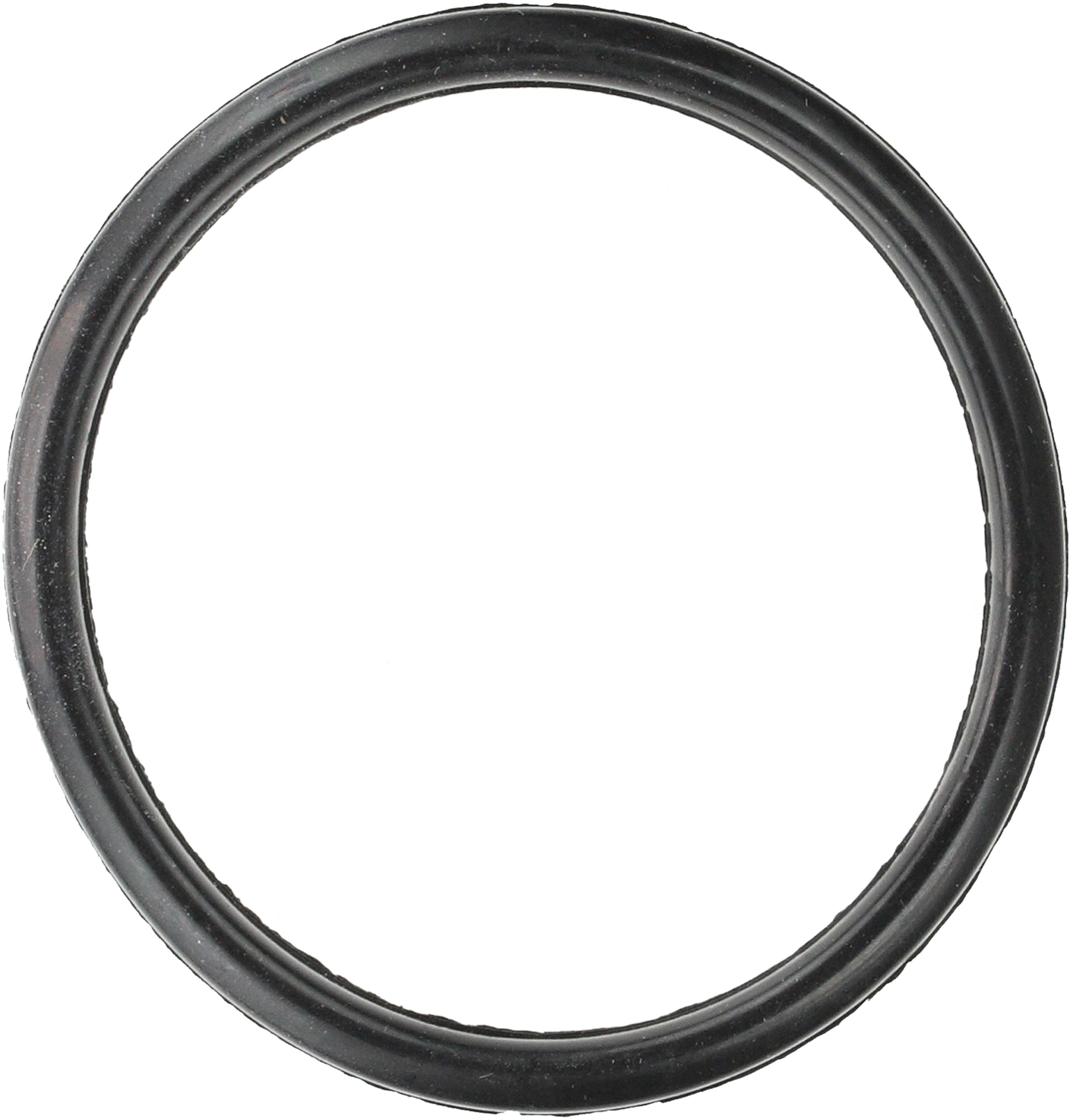 Seal, thermostat (33617)