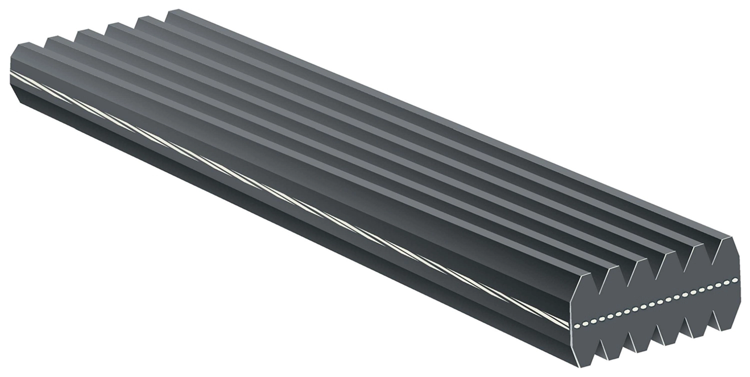 V-Ribbed Belt (DK080568)