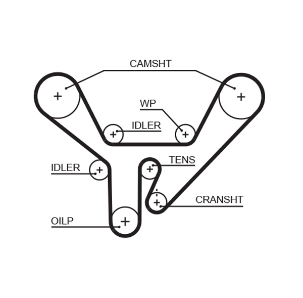 Timing Belt (T207)