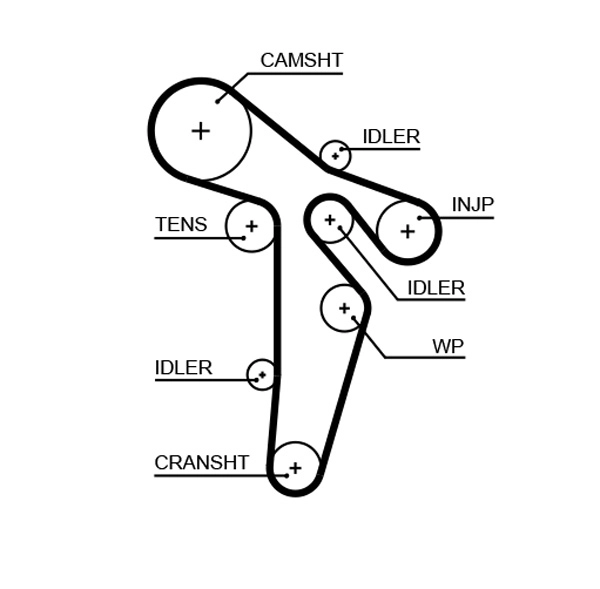 Timing Belt (T346)