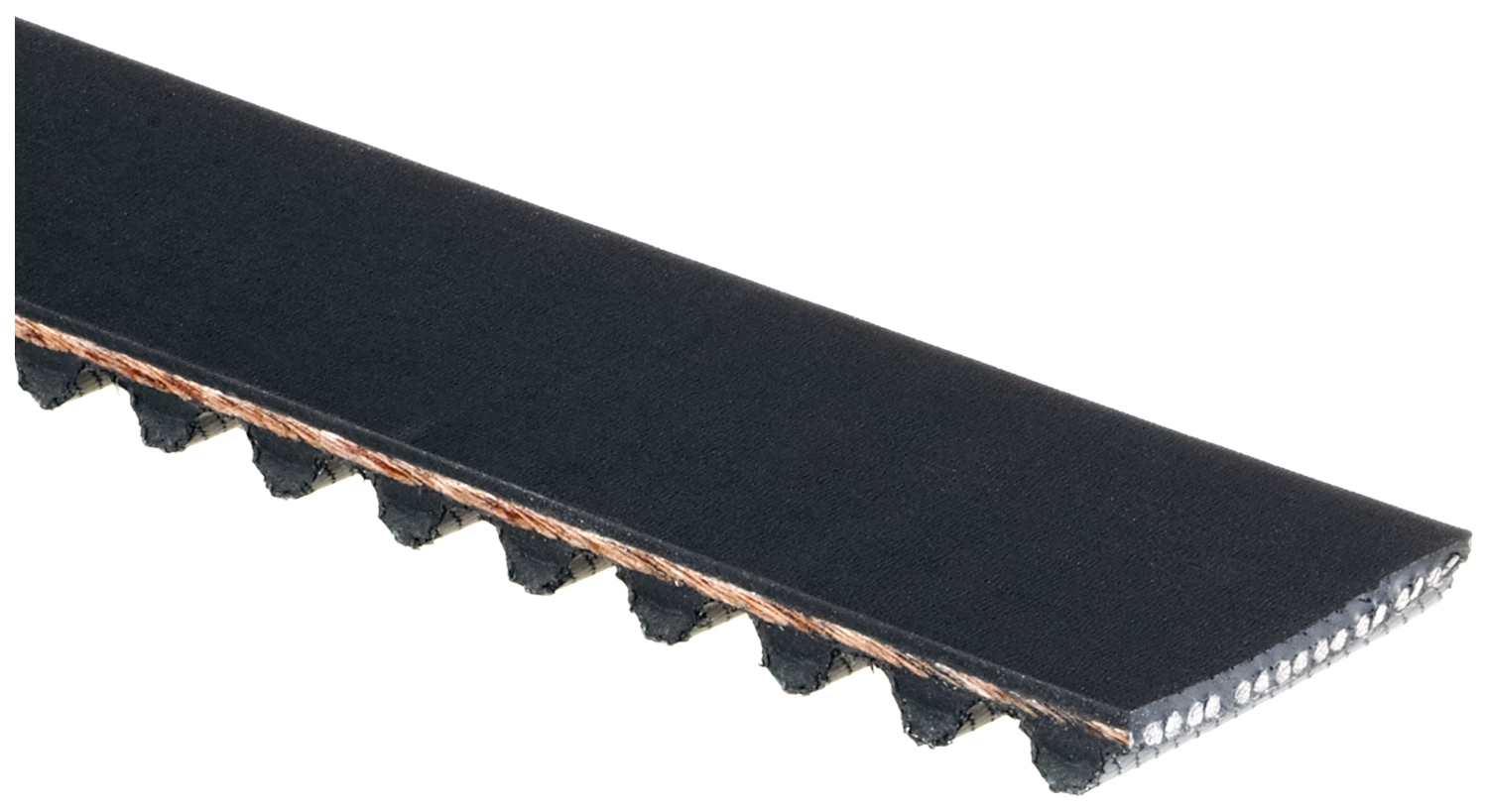Timing Belt
