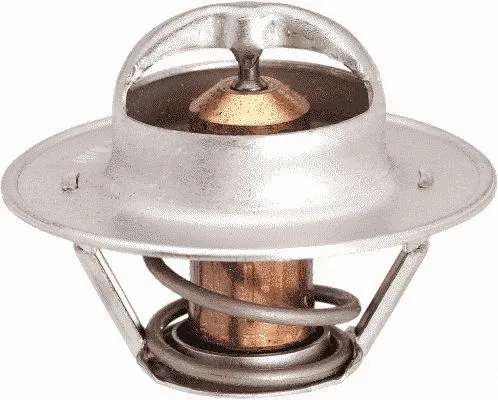 Thermostat, coolant (33198)