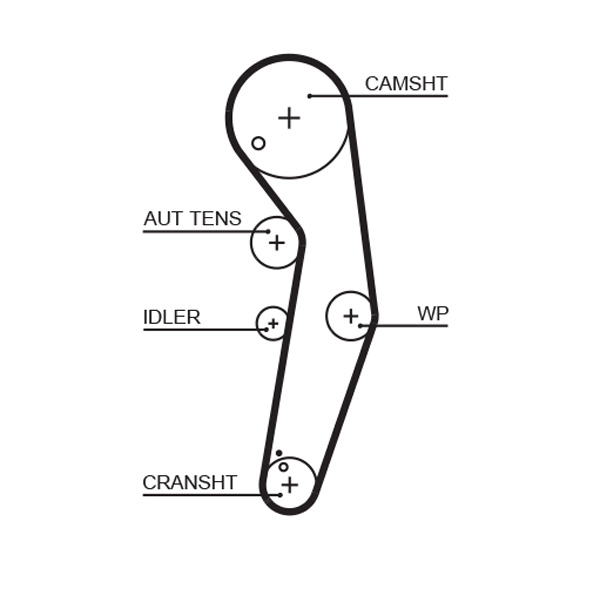 Timing Belt (T333)