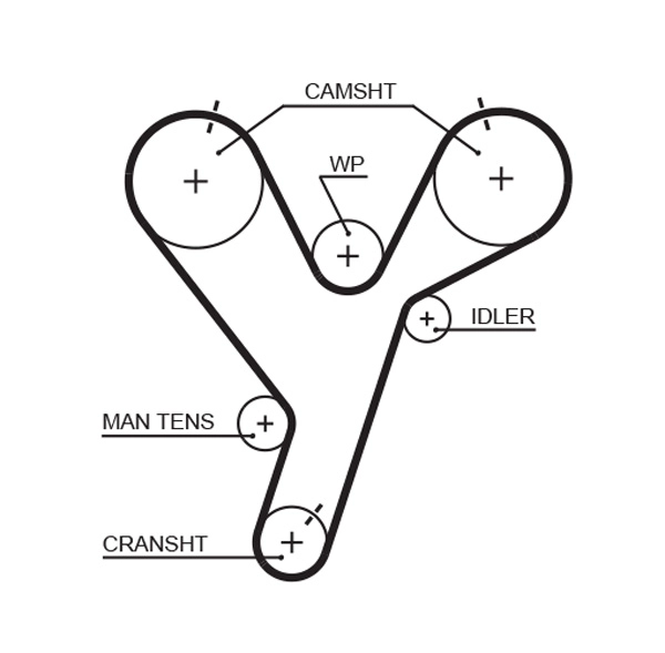 Timing Belt (T259)