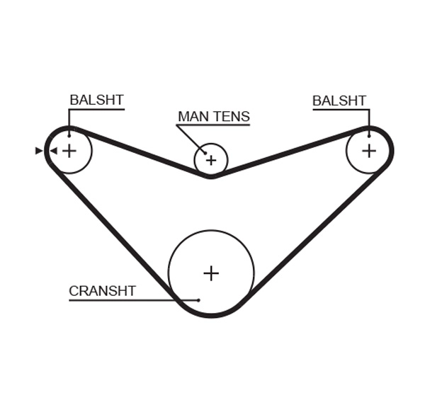 Timing Belt (T186)