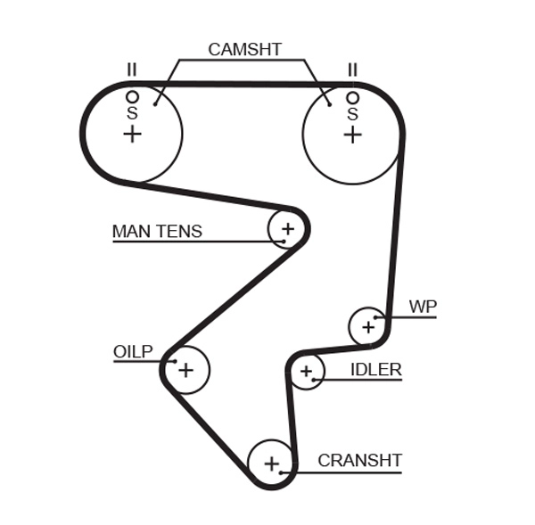 Timing Belt (T125)