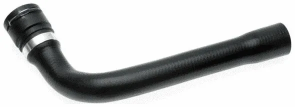 Radiator Hose (23952)