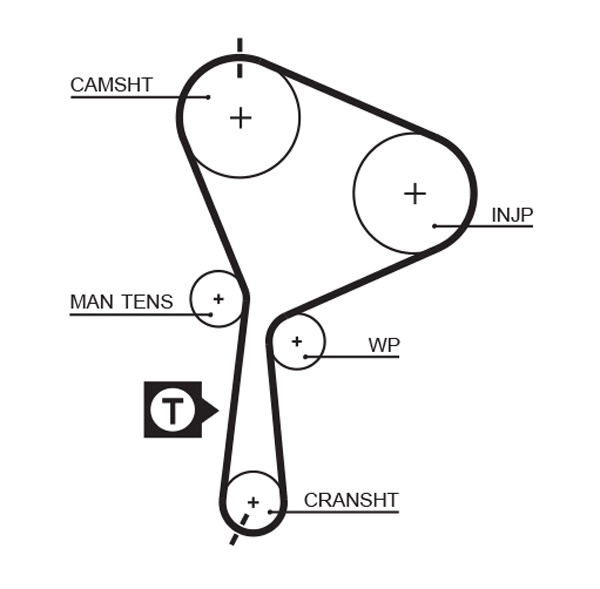Timing Belt (T1558)