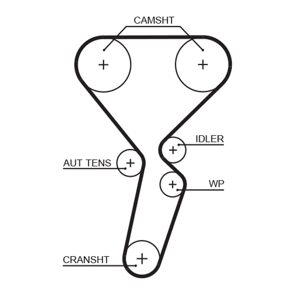 Timing Belt (T1095)