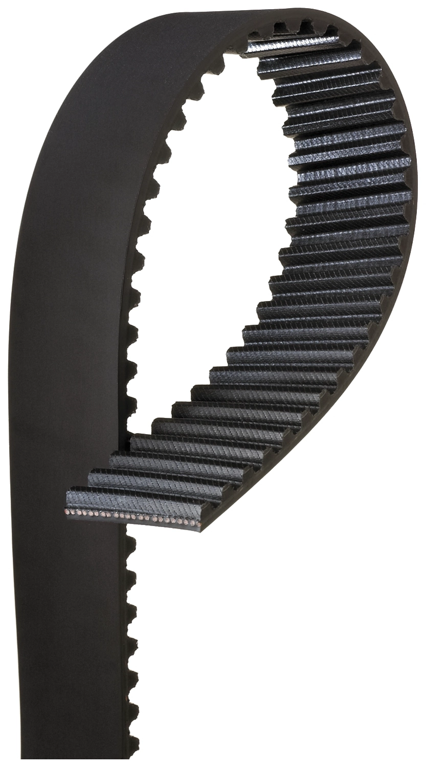 Timing Belt (T292)