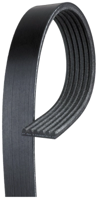 V-Ribbed Belt (K060384)