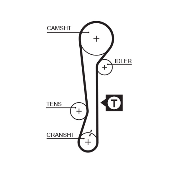 Timing Belt (T282)