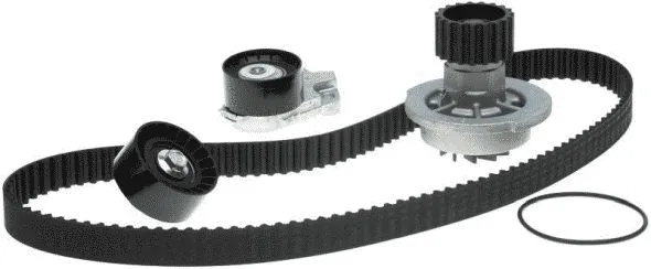 Water Pump & Timing Belt Kit (TCKWP335)