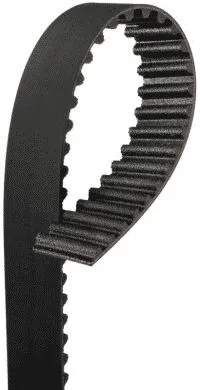 Timing Belt