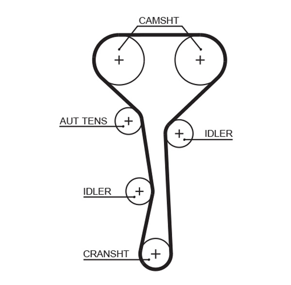 Timing Belt (T1284)