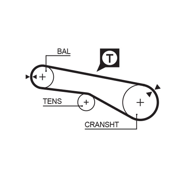 Timing Belt (T159)