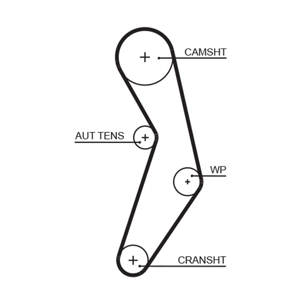 Timing Belt (T1096)