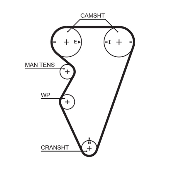 Timing Belt (T1050)