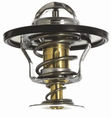 Thermostat, coolant (34769)