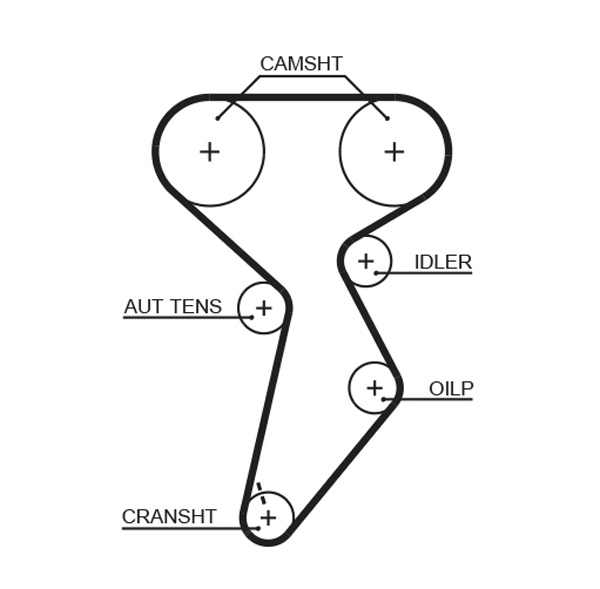 Timing Belt (T601)
