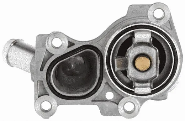 Thermostat, coolant