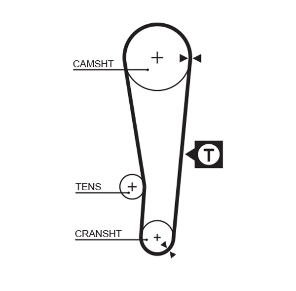Timing Belt (T235)