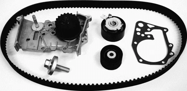 Water Pump & Timing Belt Kit (TCKWP1095M)