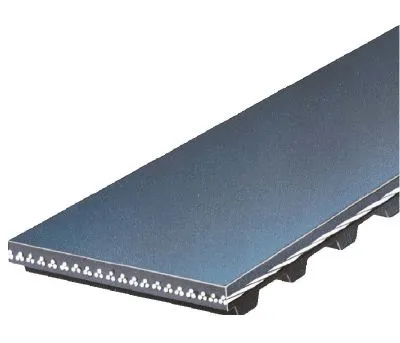 Timing Belt (T260)