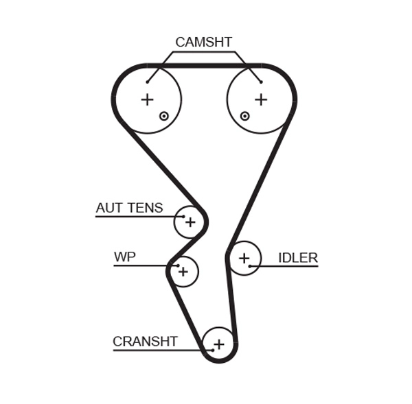 Timing Belt (T1581)