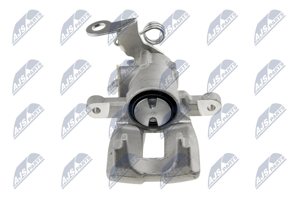Brake Caliper (HZT-FT-007)