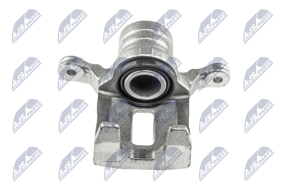 Brake Caliper (HZT-NS-030)