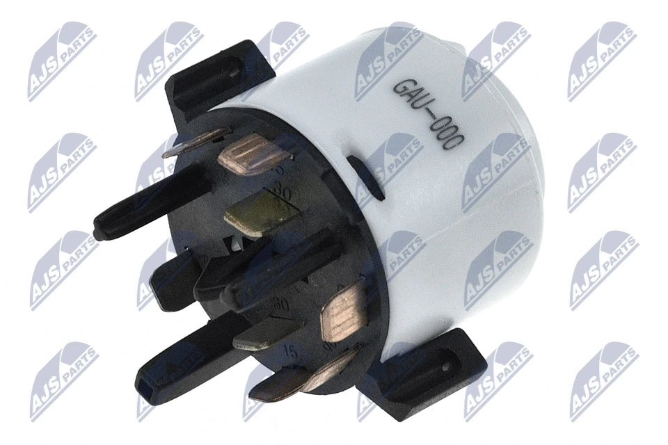 Ignition Switch (EKS-AU-000)